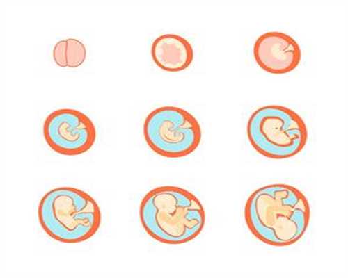 重庆助孕：终止中期以上妊娠证明查验制度