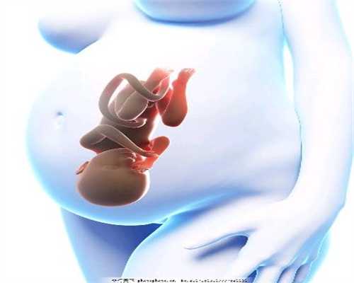 郑州星宝助孕：一旦鑫宝助孕国际合同终止属于无效条款