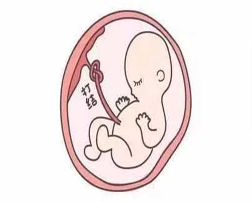 鑫宝助孕国际违法吗：孕妇内裤保护准妈妈腹部和胎儿