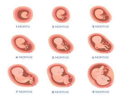 鑫宝助孕国际包成功费用：为什么输卵管输通后还是不孕