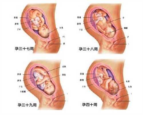 2019中国有合法代怀孕：一般多久做一次孕检