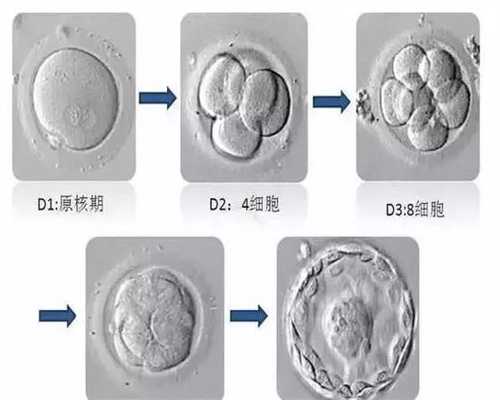 中国2019年合法代怀孕 ：山西黄河医院惊！代孕