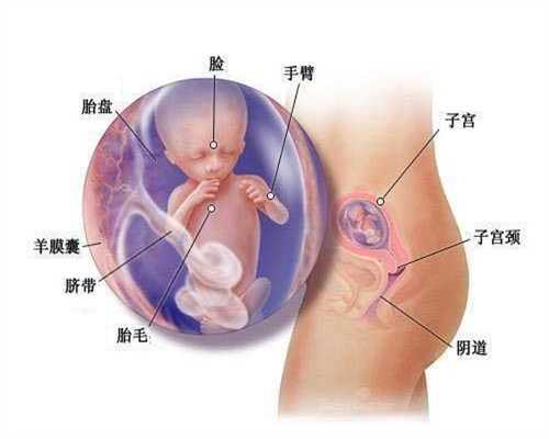 上海代孕多少钱,很多孕妇面临湿气重烦恼  教你