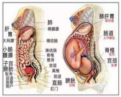 吉林 职业代孕：南昌华山什么情况需要促排卵？