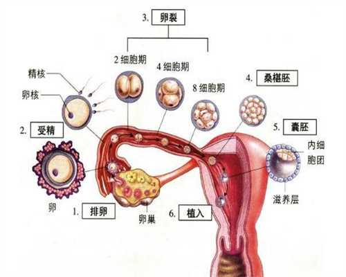 银川代孕：南昌为什么女性会继发不孕？