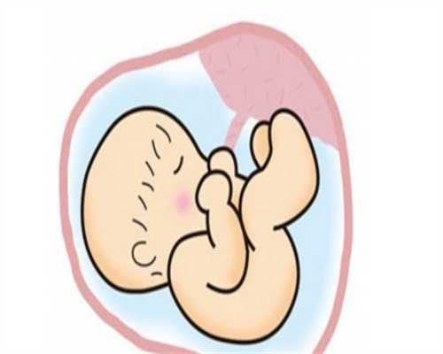 广州借腹生子,孕妈首次怀孕遇胚胎停育，玛丽亚