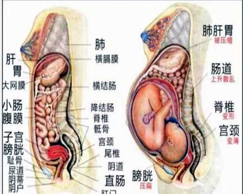 上海做试管可以选择性别吗,输卵管造影什么时候