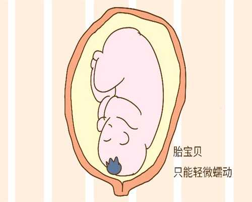上海做试管可以选择性别吗,输卵管造影什么时候