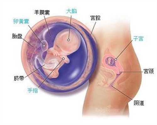 台湾国外代孕有哪些-台湾代孕宝宝健康顺产也要