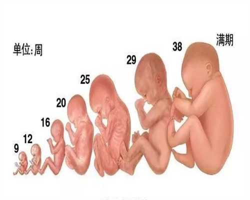 黑龙江国内哪家医院可以做代孕,黑龙江本地代孕