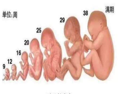 包成功代孕生男孩多少钱-第三代试管婴儿可以选