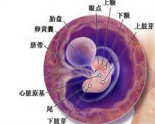 宁夏借卵子试管成功率更高-宁夏中国可以找代孕