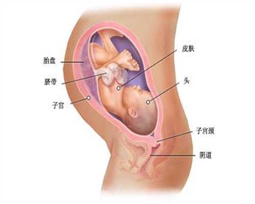 借卵子试管流程-增进代孕皮肤健康的按摩方法