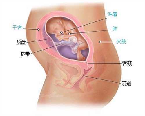 广西借卵子试管婴儿移植后,广西代孕产子