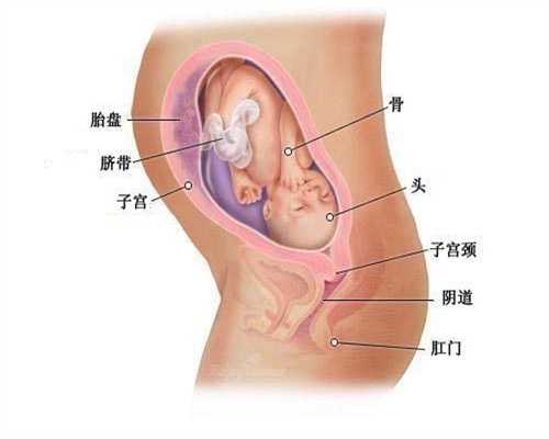 广西借卵子试管婴儿移植后,广西代孕产子的价格