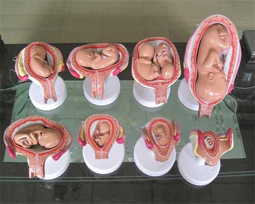 代孕超长方案-代孕哪个国家是合法的-孕妇中期可