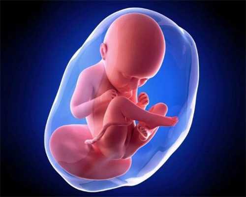 代妈补偿-代孕可以选性别吗-怎么根据B超推测受