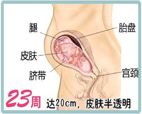 台湾代生孩子有哪些中介公司_台湾代孕什么价格