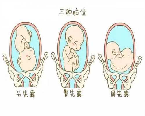 天津雇人代孕,天津代孕产子多少钱价格排卵期监