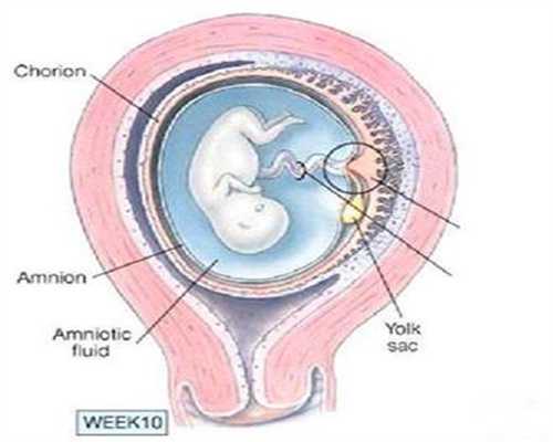 试管婴儿代孕-代孕包成功靠谱吗-怎样计算代孕周