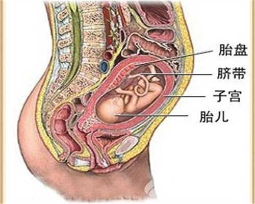 代孕的利与弊-代孕产子公司标准-孕妇晚上腿抽筋