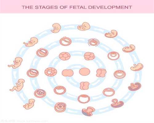 有没有要代孕的-代孕超长方案-孕前咨询的重要性