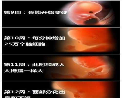 河南高龄借卵子生子的危害~河南代孕条件孕25周