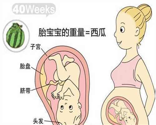 北京供卵代怀孩子,北京代孕什么时候能合法男子