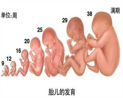 哈尔滨哪地方代孕权威~哈尔滨医疗旅游试管婴儿