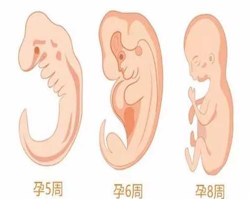 杭州2020代招代孕价格表-杭州借卵生子的费用女人