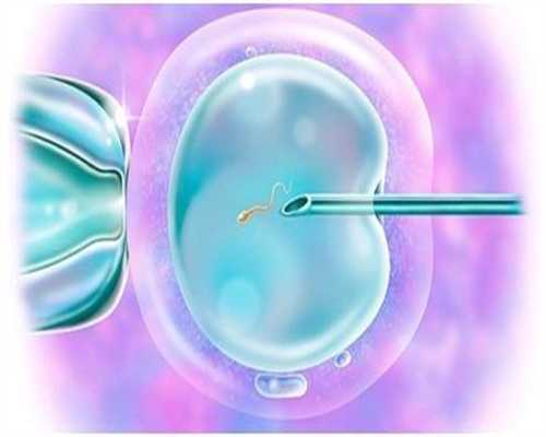 代孕网-代孕网多少费用-双胞胎b超为什么总翻盘