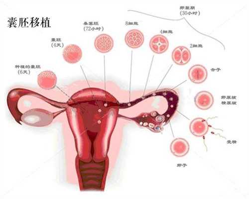 代孕网-可以做代孕试管吗-胎膜早破会肚子疼吗