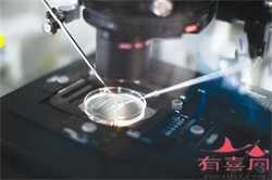 53岁广州借卵子生子成功案例，tct检查结果有几种，不同检查结果又代表什么意