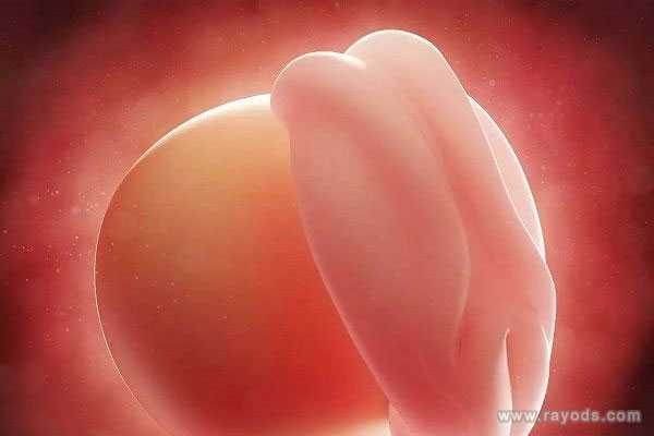 供卵试管法规，怀孕查出空孕囊需谨慎对待，空孕囊影响下次怀孕吗？