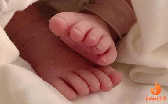 广州借卵生子包生男孩,【广州供卵机构包男孩】31周顺产女宝宝