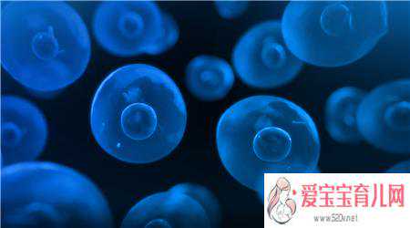 香港供卵孩子血型,香港冻卵可以给别人用吗
