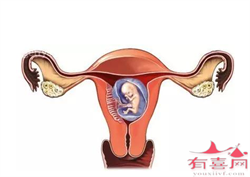 杭州助孕的人有多少,黑龙江省三代试管助